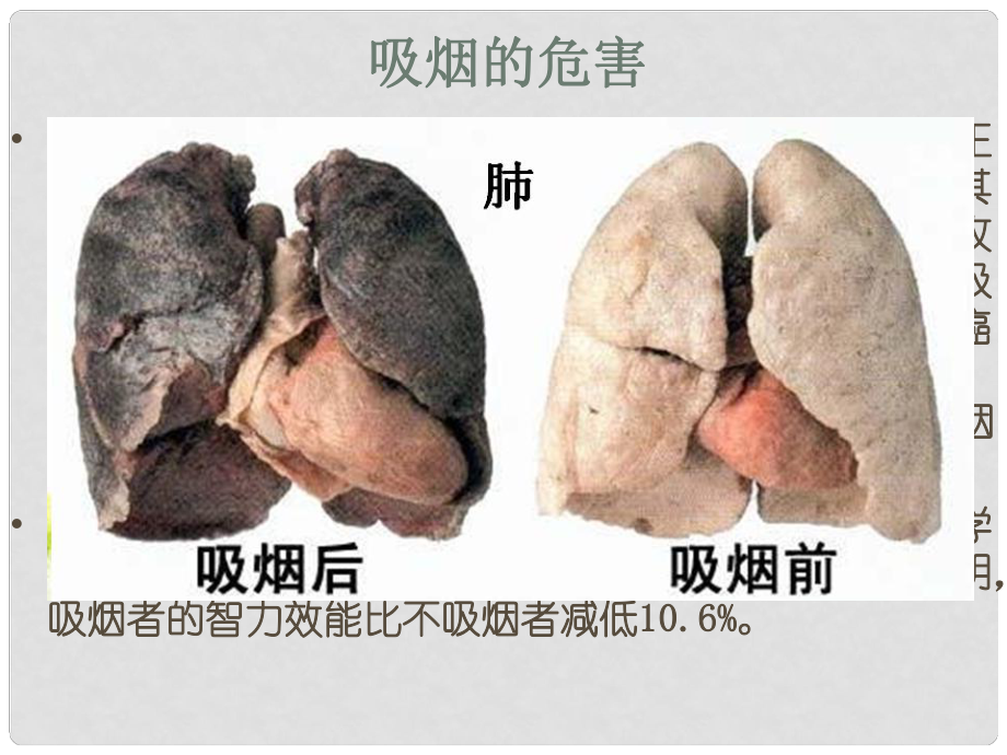 七年级生物下册第二单元第三章第一节吸烟的危害课件1冀少版