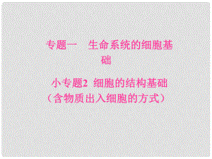 高考生物二輪專題復習 專題一 生命系統(tǒng)的細胞基礎 小專題2 細胞的結構基礎（含物質出入細胞的方式）課件