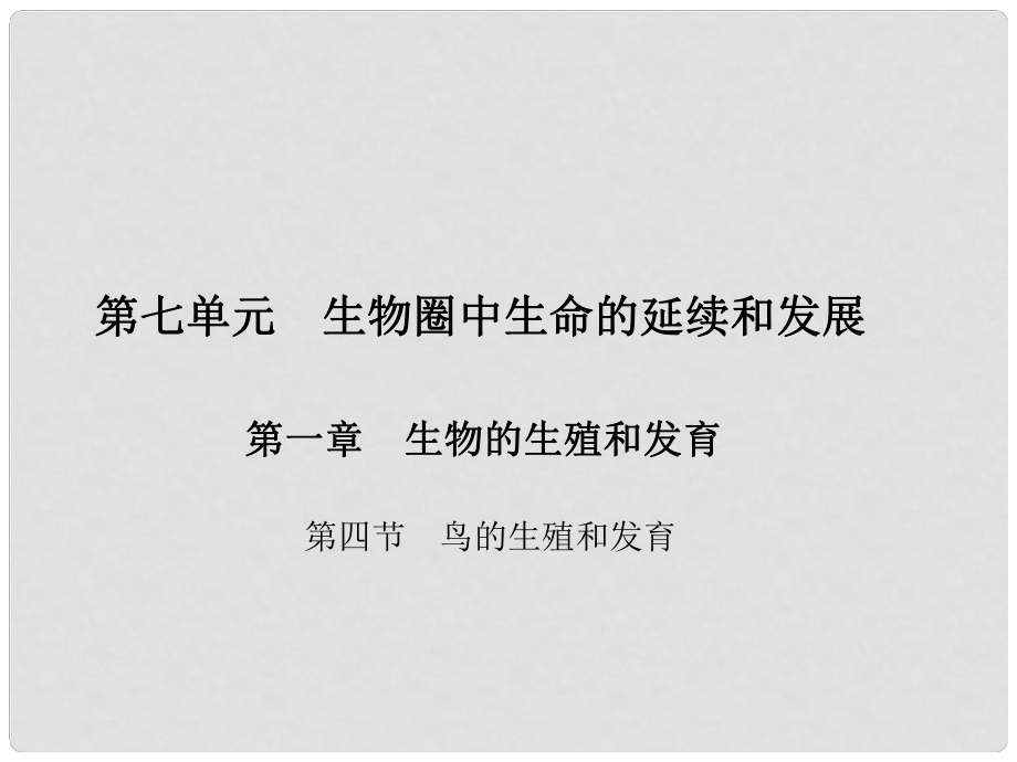 原八年级生物下册 第七单元 第一章 第四节 鸟的生殖和发育课件 （新版）新人教版_第1页