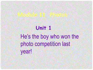 廣西中峰鄉(xiāng)育才中學(xué)九年級(jí)英語(yǔ)上冊(cè) Module 11 Unit 1 He’s the boy who won the photo competition last year教學(xué)課件 （新版）外研版