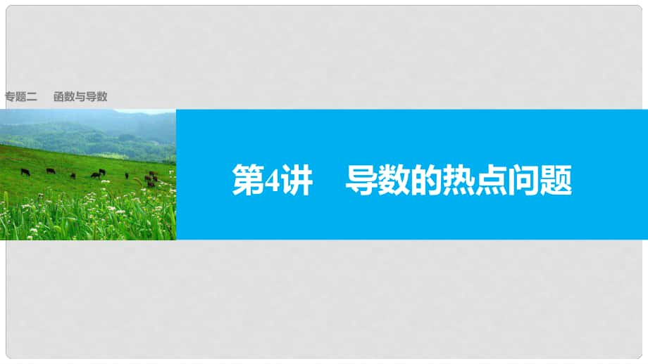 新（全国甲卷）高考数学大二轮总复习与增分策略 专题二 函数与导数 第4讲 导数的热点问题课件 文_第1页