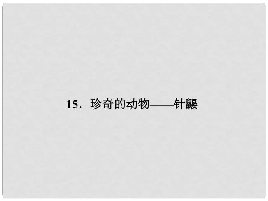 原（季版）七年級(jí)語(yǔ)文下冊(cè) 第四單元 15 珍奇的動(dòng)物——針鼴課件 語(yǔ)文版_第1頁(yè)