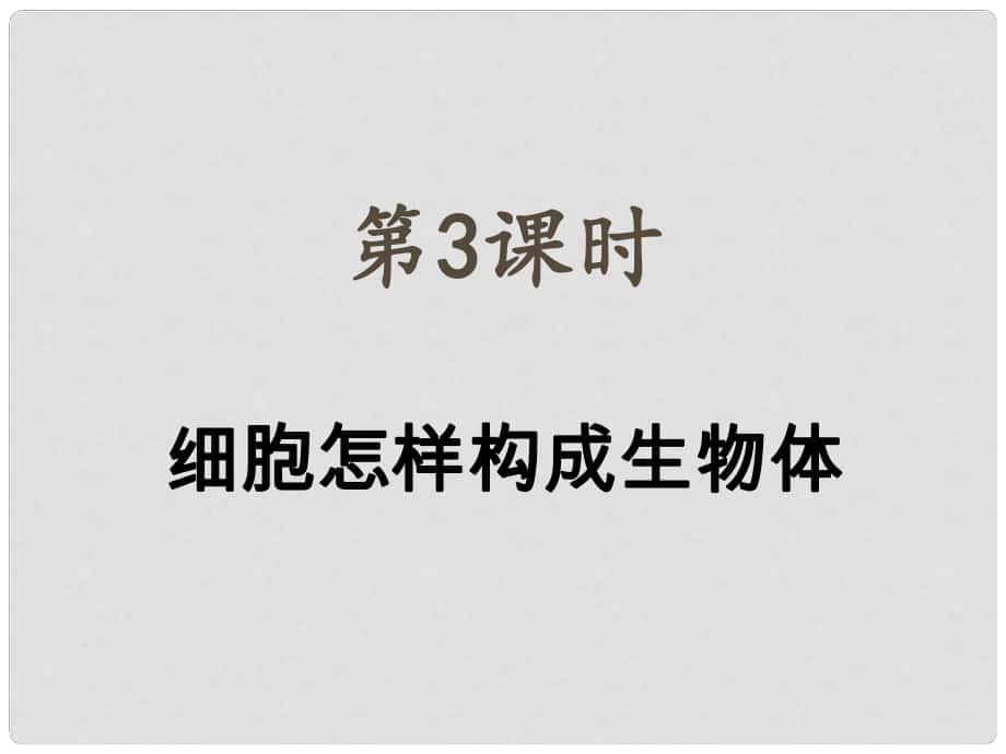 內(nèi)蒙古鄂爾多斯康巴什新區(qū)第一中學(xué)七年級生物上冊 第3課時(shí) 細(xì)胞怎樣構(gòu)成生物體復(fù)習(xí)課件 （新版）新人教版_第1頁