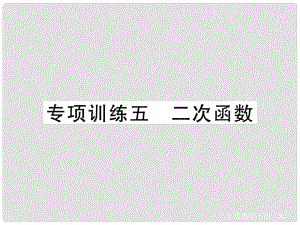 九年級數(shù)學(xué)下冊 專項訓(xùn)練五 二次函數(shù)課件 （新版）湘教版