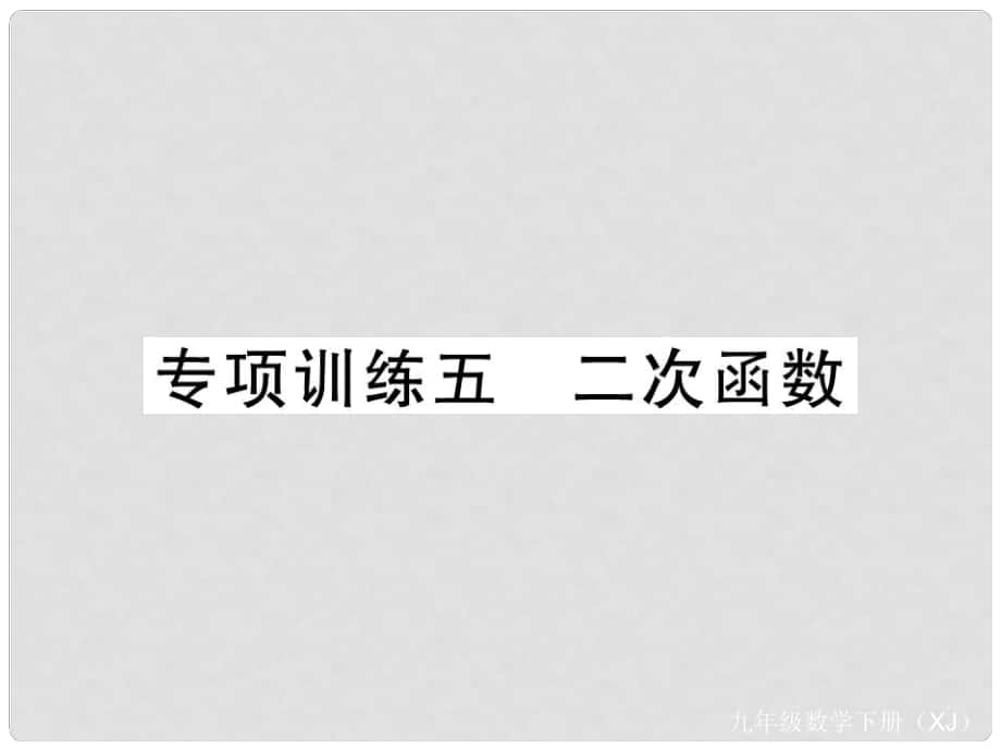 九年級數(shù)學(xué)下冊 專項訓(xùn)練五 二次函數(shù)課件 （新版）湘教版_第1頁