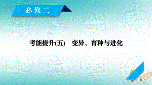 生物第三單元 生物的變異、育種和進(jìn)化 考能提升5 變異、育種與進(jìn)化 新人教版必修2