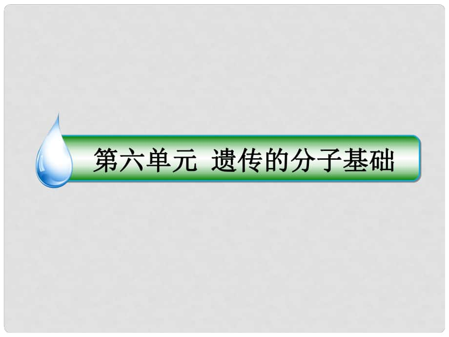 高考生物一轮复习 第六单元 遗传的分子基础 第20讲 DNA分子的结构、复制及基因是有遗传效应的DNA片段课件_第1页