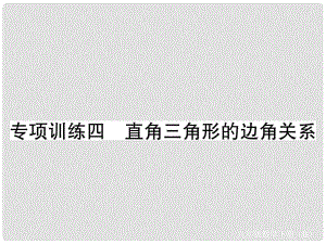 九年級數(shù)學(xué)下冊 專項訓(xùn)練四 直角三角形的邊角關(guān)系習(xí)題課件 （新版）北師大版