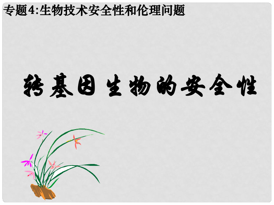 海南省三亚六中高中生物 转基因生物的安全性课件 新人教版选修3_第1页