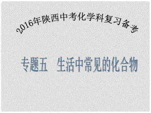 陜西省中考化學備考復習 專題五 生活中常見的化合物課件