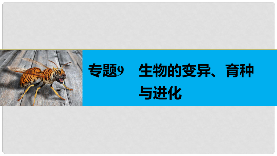 高考生物大二轮专题复习与增分策略 专题9 生物的变异、育种与进化课件_第1页