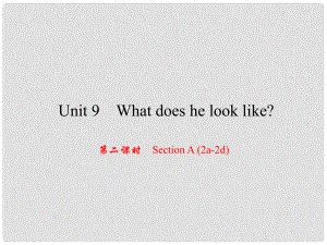 原（浙江專版）七年級(jí)英語(yǔ)下冊(cè) Unit 9 What does he look like（第2課時(shí)）Section A(2a2d)課件 （新版）人教新目標(biāo)版