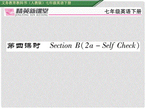 七年級(jí)英語(yǔ)下冊(cè) Unit 7 It's raining（第4課時(shí)）Section B（2aSelf Check）習(xí)題課件 （新版）人教新目標(biāo)版