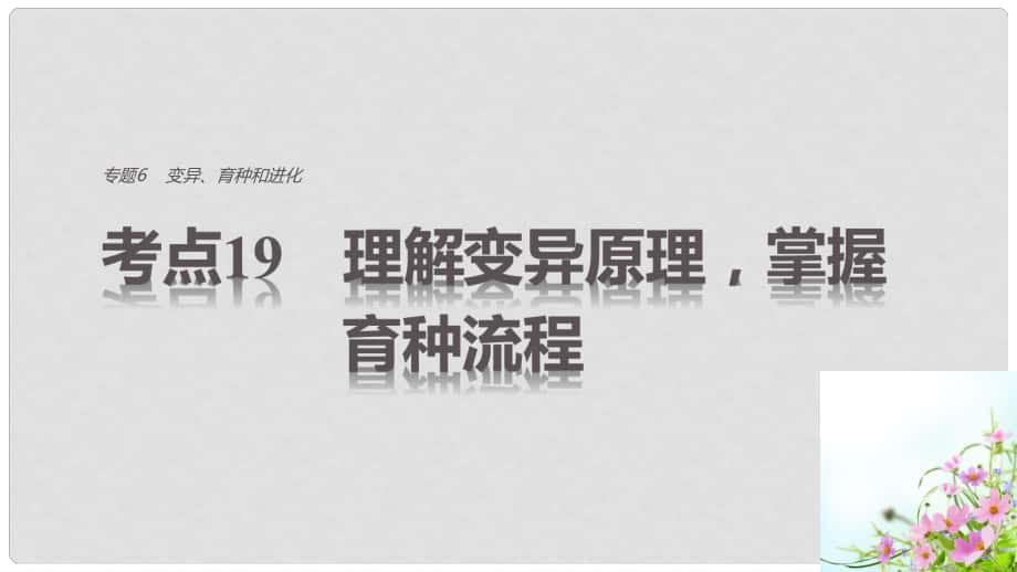 高考生物考前3個(gè)月專題復(fù)習(xí) 專題6 變異 育種和進(jìn)化 考點(diǎn)19 理解變異原理掌握育種流程課件_第1頁(yè)