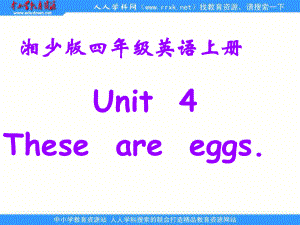 湘少版四上Unit4Thoseareeggs課件