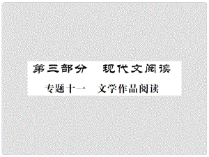 中考語文 第三部分 現(xiàn)代文閱讀 專題十一 文學作品閱讀課件