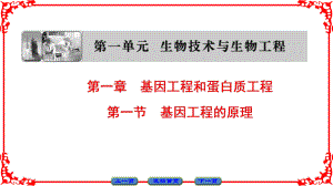 高中生物 第一單元 生物技術(shù)與生物工程 第一章 基因工程和蛋白質(zhì)工程 第1節(jié) 基因工程的原理課件 中圖版選修3