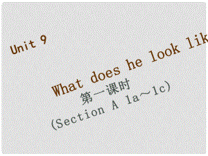 七年級(jí)英語下冊(cè) Unit 9 What does he look like（第1課時(shí)）Section A（1a1c）習(xí)題課件 （新版）人教新目標(biāo)版