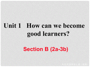 九年級英語全冊 Unit 1 How can we become good learners Section B（2a3b）作業(yè)課件 （新版）人教新目標版