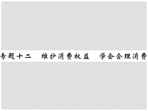 中考政治總復(fù)習(xí) 時政熱點(diǎn) 專題十二 維護(hù)消費(fèi)權(quán)益 學(xué)會合理消費(fèi)課件