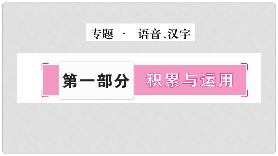 中考語文 第一部分 積累與運用 專題1 語音、漢字課件 新人教版_第1頁