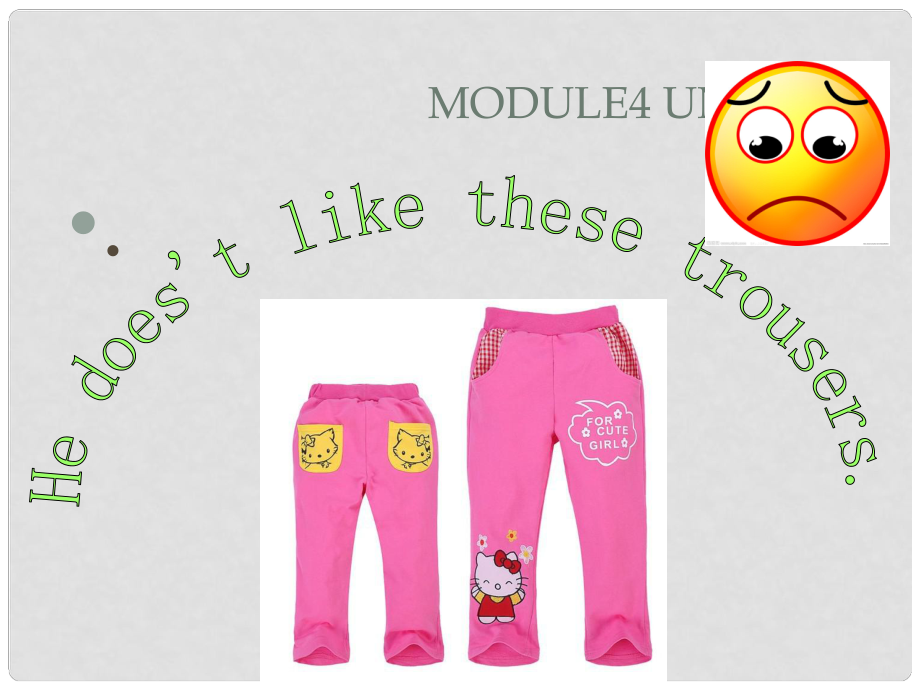 二年級英語上冊 Module 4 Unit 2 He doesn’t like these trousers課件2 外研版（一起）_第1頁