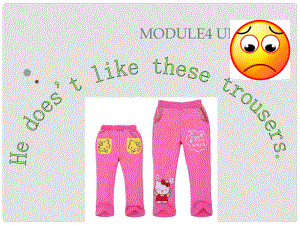 二年級英語上冊 Module 4 Unit 2 He doesn’t like these trousers課件2 外研版（一起）