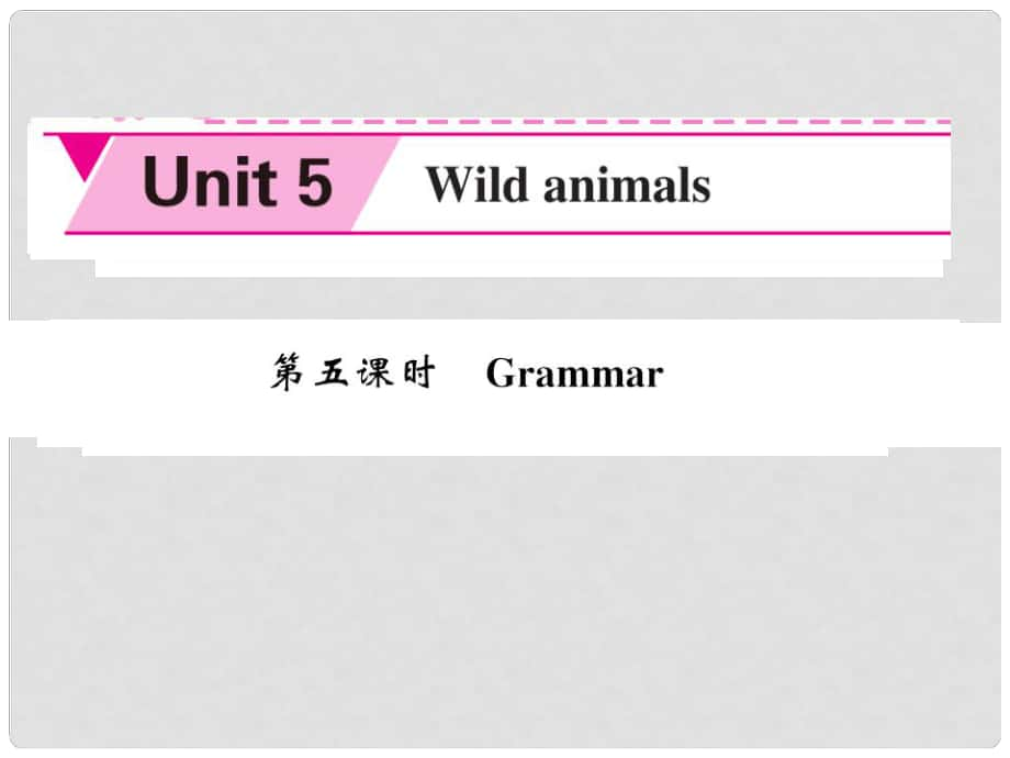 八年級英語上冊 Unit 5 Wild animals（第5課時(shí)）課件 （新版）牛津版_第1頁