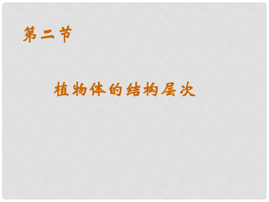 七年級(jí)生物上冊(cè) 植物體的結(jié)構(gòu)層次課件 人民版_第1頁(yè)