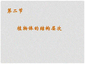 七年級生物上冊 植物體的結構層次課件 人民版