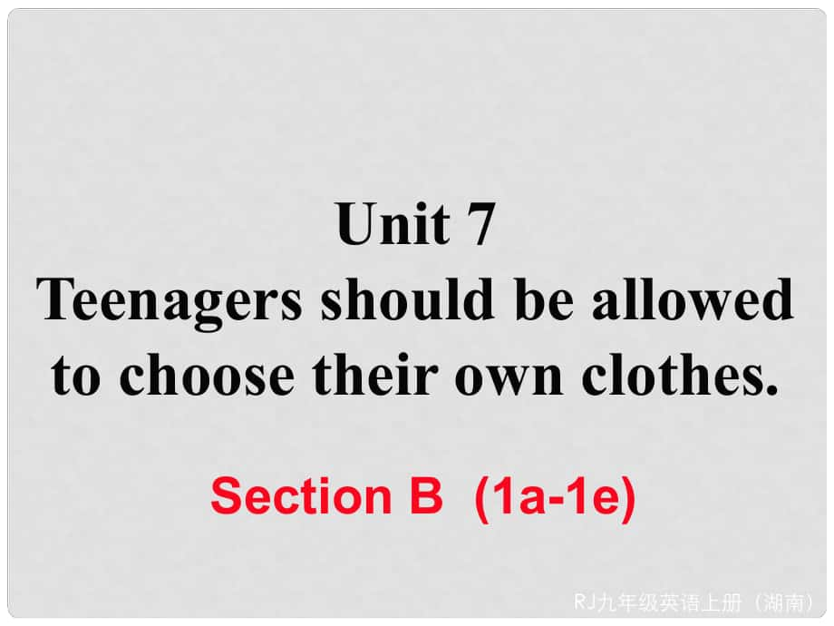 九年級英語全冊 Unit 7 Teenagers should be allowed to choose their own clothes Section B（1a1e）作業(yè)課件 （新版）人教新目標版_第1頁