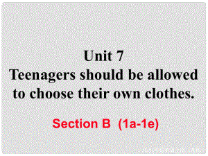 九年級(jí)英語全冊(cè) Unit 7 Teenagers should be allowed to choose their own clothes Section B（1a1e）作業(yè)課件 （新版）人教新目標(biāo)版