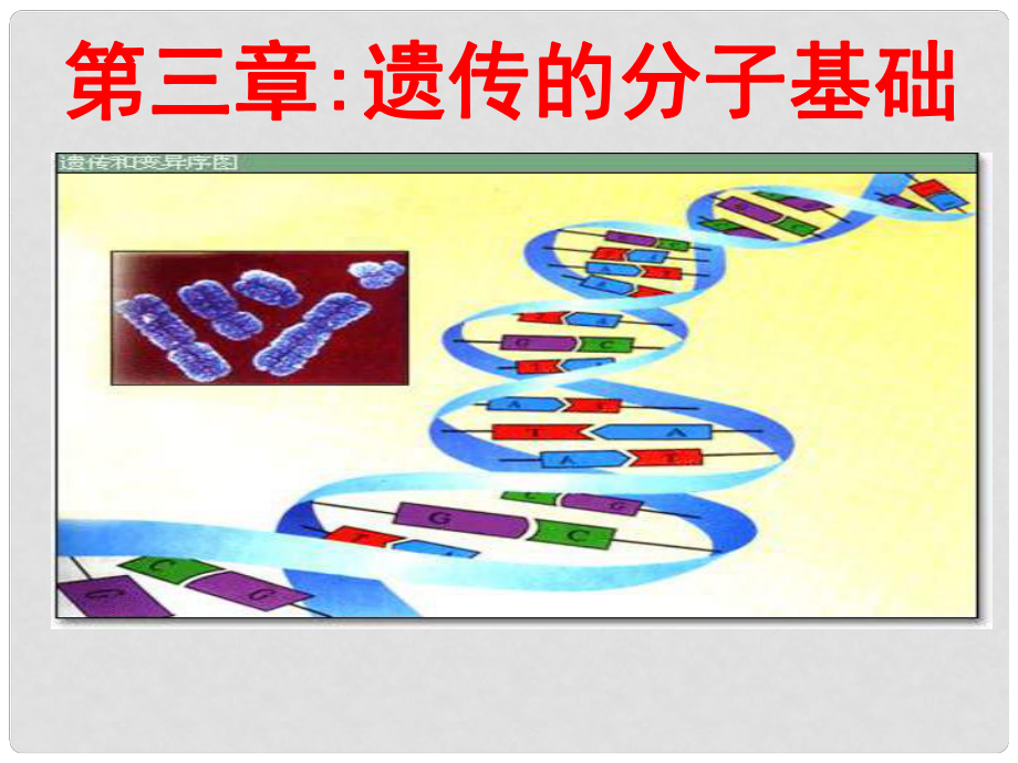 浙江省桐鄉(xiāng)市高考生物一輪復(fù)習(xí) 遺傳的分子基礎(chǔ)課件 新人教版_第1頁(yè)