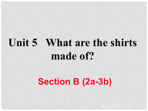 九年級英語全冊 Unit 5 What are the shirts made of Section B（2a3b）習(xí)題課件 （新版）人教新目標(biāo)版