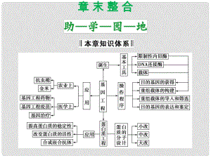 高中生物 第一單元 生物技術(shù)與生物工程 第一章 基因工程和蛋白質(zhì)工程章末整合課件 中圖版選修3