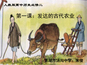 人教版高中历史必修二发达的古代农业芜湖市汤沟中学朱俊