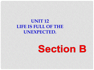 九年級(jí)英語全冊(cè) Unit 12 Life is full of the unexpected Section B（1a2e）課件 （新版）人教新目標(biāo)版