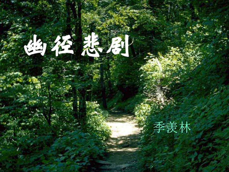 江蘇省句容市崇明中學(xué)八年級(jí)語文上冊(cè) 第五單元 23《幽徑悲劇》課件 （新版）蘇教版_第1頁