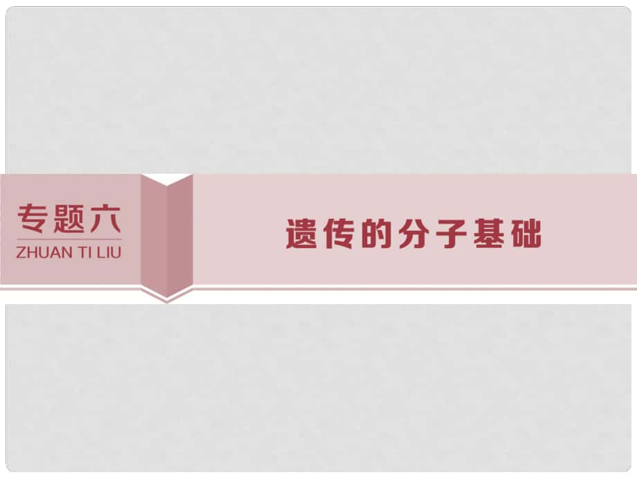 高考生物考前沖刺復習 第1部分 專題突破方略 專題六 遺傳的分子基礎(chǔ)課件_第1頁