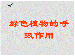 七年級生物上冊 第三單元 第五章 第二節(jié) 綠色植物的呼吸作用課件2 （新版）新人教版