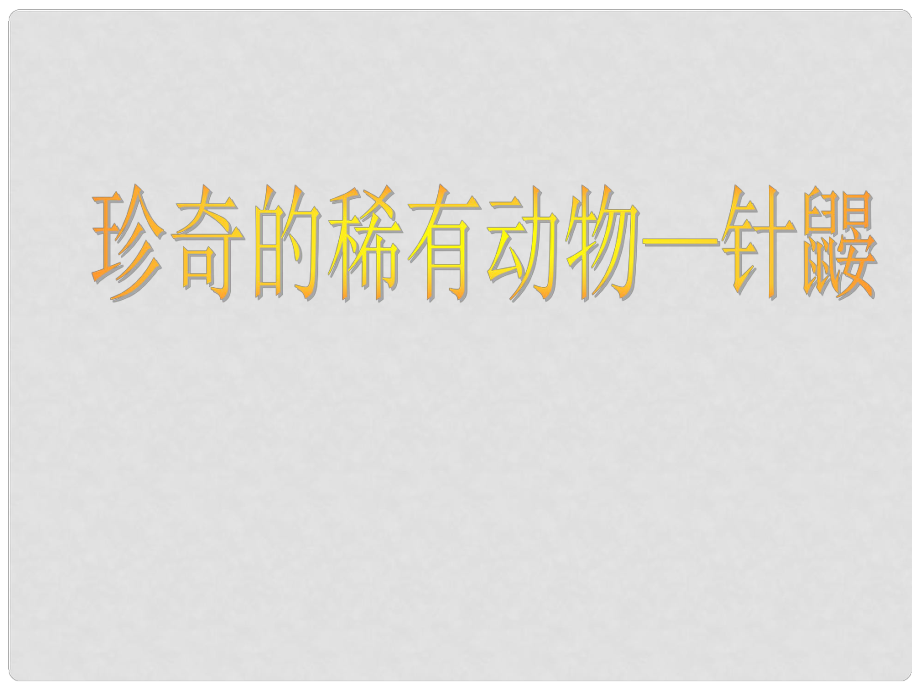 七年級(jí)語(yǔ)文下冊(cè) 第20課《珍奇的稀有動(dòng)物針鼴》課件3語(yǔ)文版_第1頁(yè)