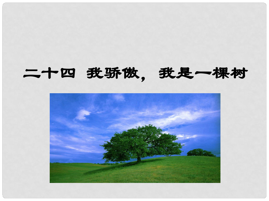 八年級語文下冊 第五單元 24 我驕傲我是一棵樹課件 （新版）蘇教版_第1頁