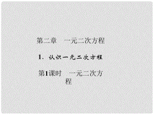 九年級(jí)數(shù)學(xué)上冊(cè) 第2章 一元二次方程 1 認(rèn)識(shí)一元二次方程 第1課時(shí) 一元二次方程習(xí)題課件 （新版）北師大版