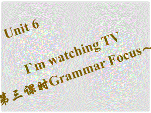 七年級英語下冊 Unit 6 I’m watching TV（第3課時）Grammar Focus3c習(xí)題課件 （新版）人教新目標版