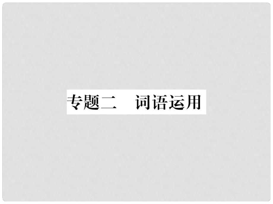 八年級語文下冊 專題二 詞語運(yùn)用習(xí)題課件 新人教版_第1頁