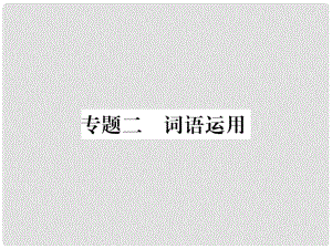 八年級語文下冊 專題二 詞語運(yùn)用習(xí)題課件 新人教版