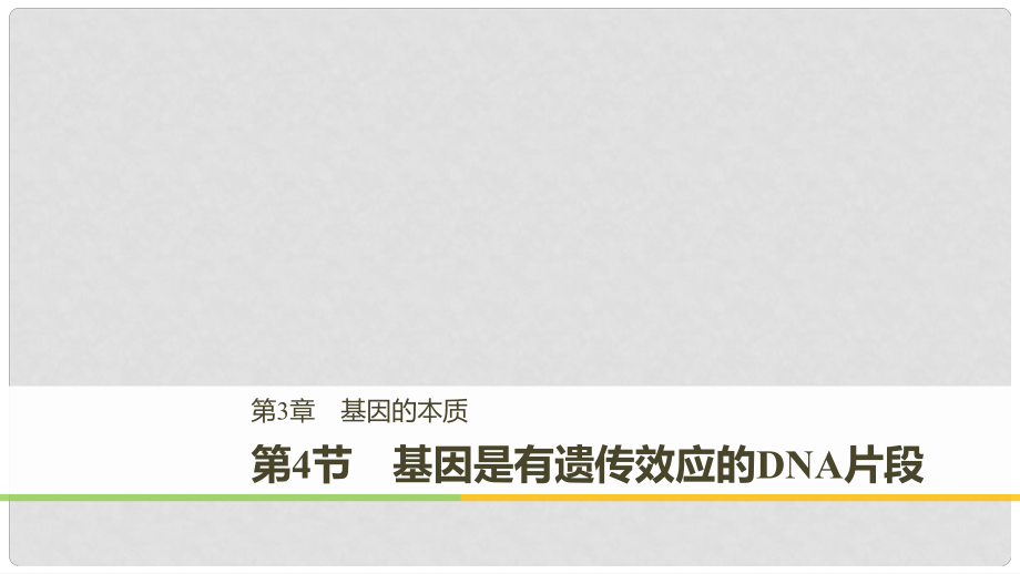 高中生物 第三章 基因的本質(zhì) 第4節(jié) 基因是有遺傳效應(yīng)的DNA片段課件 新人教版必修2_第1頁