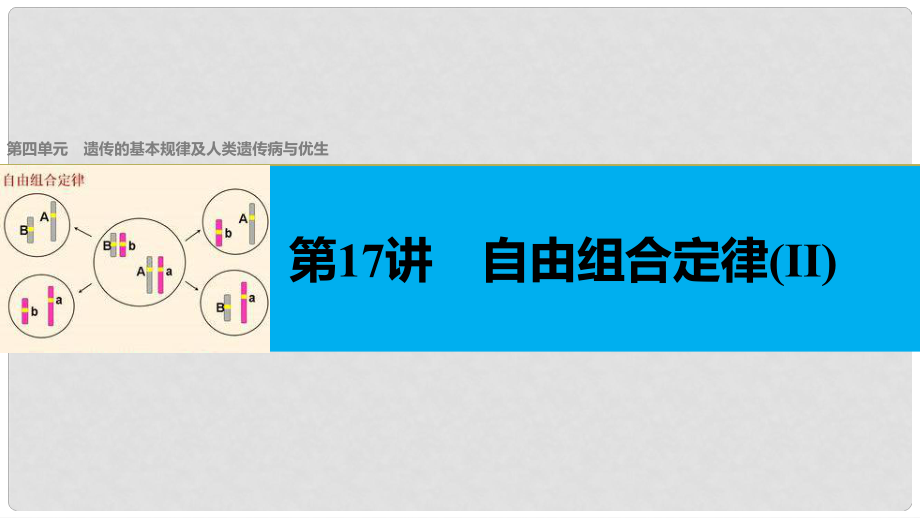 高考生物總復(fù)習(xí) 第4單元 遺傳的基本規(guī)律及人類遺傳病與優(yōu)生 第17講 自由組合定律(II)課件_第1頁