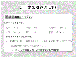 貴州省遵義市九年級語文下冊 第五單元 第20課 龍永圖趣說WTO習題課件 語文版