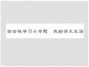 七年級語文下冊 第六單元 綜合性學習小專題 我的語文生活課件 新人教版